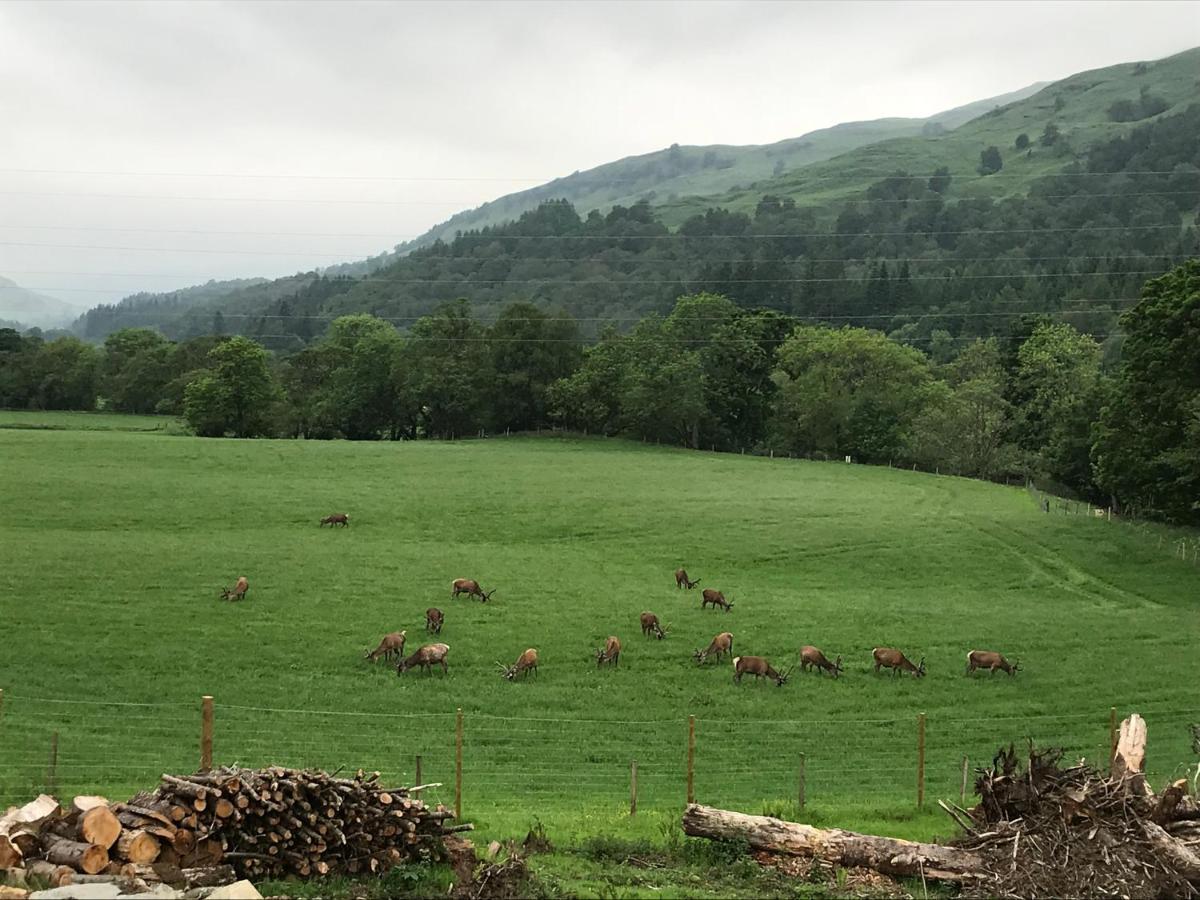 Lochay Lodges كيلين المظهر الخارجي الصورة